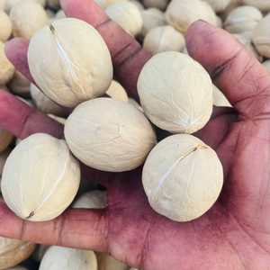 Nouvelle Récolte 2026 : <span class=keywords><strong>Noix</strong></span> Entières <span class=keywords><strong>de</strong></span> Haute Qualité, Fraîches et Naturelles, Idéales pour les Snacks, la Pâtisserie et la Vente en Gros - Product Image 3