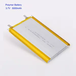 3000Mah 5000Mah 6000Mah Bank Daya Polimer Lithium Ion Daya Baterai Sel Singa Nikel Baterai 3.7V 20000Mah