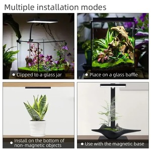 Lampe d'aquarium WEEK AQUA <span class=keywords><strong>Mini9</strong></span> Pro USB, lumière LED à spectre complet pour la croissance des plantes, éclairage écologique pour microlandscape, lampe pour nano aquarium, Bluetooth - Product Image 3