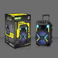 Enceinte de fête RGB 40W avec basses de 8 pouces, haute qualité, portable, multifonctionnelle, télécommande, mini-boîte FM pour extérieur et sport NDR-122