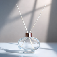 Bouteilles diffuseurs en verre ovales personnalisées en usine, de 50 ml à 300 ml, pot d'aromathérapie, logo et couleur personnalisés disponibles