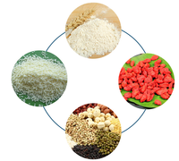 Distributeur de graines de haricot de sac d'acier inoxydable comptant la particule de remplisseur d'emballage de poudre de café/machine de pesage et de remplissage