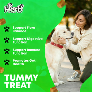 Probiotiques pour chiens OEM ODM Private Label avec prébiotiques favorisant un microbiome intestinal équilibré - Renforce la santé immunitaire - Friandises à mâcher molles - Product Image 2