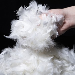 Pluma de ganso lavada, Material de relleno de plumas blancas/grises, calidad prémium, 4-6Cm/<span class=keywords><strong>2</strong></span>-4Cm - Product Image 3