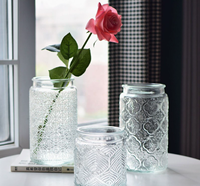 Vase en verre transparent gaufré de haute qualité, à large ouverture, pour culture hydroponique, décoration de salon et de maison, vente en gros