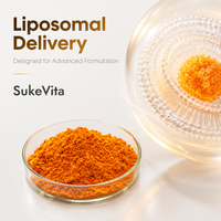 Extrait de Curcumine Liposomale à Haute Biodisponibilité en Poudre, Curcuminoïdes Solubles dans l'Eau, Complexe de Phospholipides, Matière en Vrac