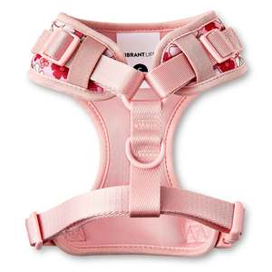 สายจูงสุนัขปรับได้ลายดอกไม้ทำจากโพลีเอสเตอร์และสแปนเด็กซ์สีชมพูสีชมพูขนาดเล็ก - Product Image 2