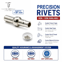 Tianfang Custom Glossy Semi Hollow Internally Threaded Precision Rivet Micro Fastener for Electronic Connector Assemblies