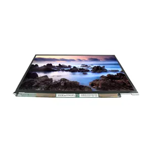 12.1 inch Laptop LCD Display Screen LTD121EWEK LCD Panel module