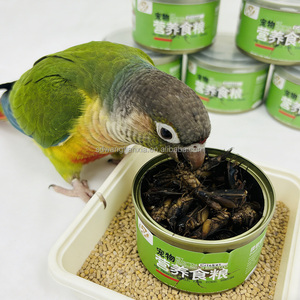 Cigales noires conservées de haute qualité - Source de protéines idéale pour les animaux exotiques - Product Image 6