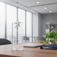 Trophée en cristal gravé sur mesure avec étoile métallique, plaque de récompense en verre transparent personnalisée pour la cérémonie annuelle d'entreprise, souvenir