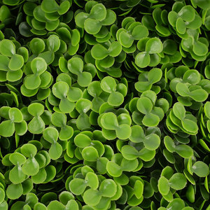 Paneles de Plantas Artificiales de Bajo Costo y Fácil Instalación, Decoración para Interiores y Exteriores, Restaurantes, Hoteles, Apartamentos, Patios - Product Image 4