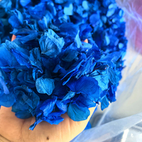 Kelopak Bunga Hydrangea Besar Warna Biru Royal, Terawetkan, Grosir, untuk Dinding Bunga Pernikahan, Kerajinan DIY, Dekorasi