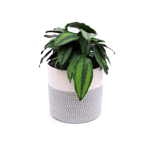 Corde De coton Panier Moderne Plancher Intérieur Jardinières, Organisateur De Stockage Panier Tissé Décor À <span class=keywords><strong>La</strong></span> <span class=keywords><strong>Maison</strong></span> - Product Image 5