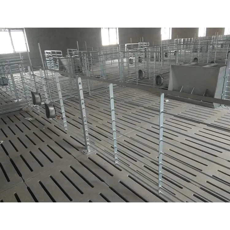 hot dip galvanized pig fattening crate\fatten cage long service life pig farm equipment hot sell pig cage
