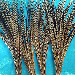 90-110Cm Reeves Gà lôi Lông Đuôi Plumas De Faisan Gà lôi Đuôi Cho Lễ Hội Mũ Thủ Công Khiêu Vũ Hiệu Suất Trang Phục - Product Image 1