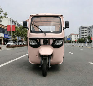 EEC COC Tows E <strong>Trike</strong> Passenger EEC Electric Passenger Tricycle Sightseeing Vehicle - Product Image 2