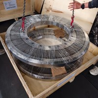 Moteur de presse à granulés de litière pour chat Winho X46Cr13, à matrice plate Kahl, traité thermiquement sous vide, haute performance 1000-1500 kg/h, longue durée de vie