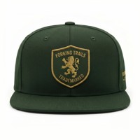 Gorra de Béisbol Plana Bordada Verde Oscuro de Alta Calidad de Fábrica con Logotipo Personalizado Estilo Hip Hop Snapback para Hombre