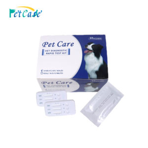 Prueba Rápida de Antígeno para Helicobacter Pylori en Perros y Gatos con Garantía - Product Image 1