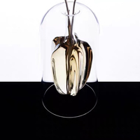 Diffuseur de parfum en verre à double paroi transparent personnalisé, huile essentielle d'aromathérapie, bâtonnets d'encens, pot en verre avec fruit étoilé à l'intérieur