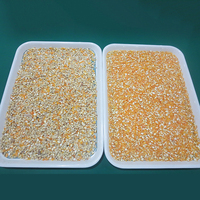 Mini trieuse de couleur de riz haute capacité 32 canaux, Machine de séparation de riz CCD, tri de couleur de Grain, traitement pour les terres agricoles