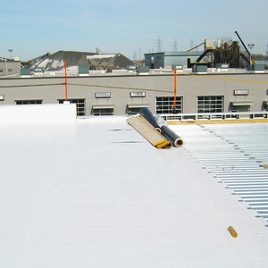 <span class=keywords><strong>Membrana</strong></span> de tejado TPO para impermeabilización de techo plano, suministro de fábrica - Product Image 3