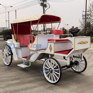 2026 electric White Sightseeing Horse Carriage/Royal Sightseeing Buggy/White Sightseeing Carriage Manufacturers - Product Image 3