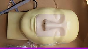 Modelo de Simulación de Hemorragia Nasal, Maniquí de Práctica Educativa para la Enseñanza de Habilidades - Product Image 2