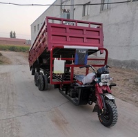 Tricycle à moteur à essence robuste de 300 cm³ et 350 cm³, best-seller, avec capacité de chargement de 9 roues