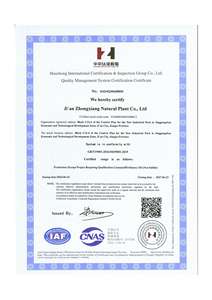 Träger öl Factory Supply Hot Sale Großhandel kalt gepresstes <span class=keywords><strong>Papaya</strong></span>-Samen öl für die Haut Haarpflege 100% reines <span class=keywords><strong>Papaya</strong></span>-Öl in loser Schüttung - Product Image 5