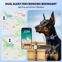 Collier GPS Connecté tize 4G avec Carte SIM, Suivi Géolocalisation pour Chien et Chat