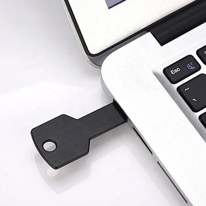 X323 แฟลชไดรฟ์ <span class=keywords><strong>USB</strong></span> โลหะคุณภาพสูงรูปทรงกุญแจพร้อมอินเทอร์เฟซ <span class=keywords><strong>USB</strong></span> 2.0 ตัวเลือกการจัดเก็บข้อมูล 128MB-64GB - Product Image 2