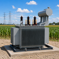 Transformateur de distribution immergé dans l'huile triphasé 400 kVA S20 à trois enroulements 50 Hz 60 Hz pour usage agricole