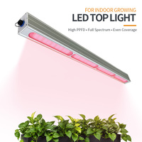 Meilleur spectre complet Lm301h Lm301b lampe de croissance des plantes d'intérieur 320 w 320 w Watt 4 bar Mini Led élèvent la lumière