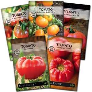 Beefsteak biologique sans OGM Kellogg's Cherokee Purple Mortgage Lifter Heirloom Tomato Sow Packet pour la maison Plancher écologique - Product Image 1