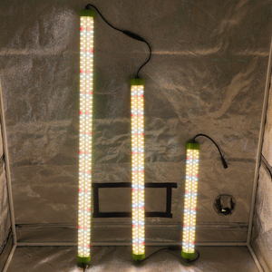 หลอดไฟ LED T5 T8 ประสิทธิภาพสูง ให้ผลผลิตสูง ขนาด 2 ฟุต 4 ฟุต สเปกตรัมเต็มรูปแบบ สำหรับปลูกผัก ผลไม้ ดอกไม้ ระบบไฮโดรโปนิกส์ - Product Image 3