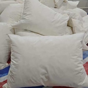 <span class=keywords><strong>Oreiller</strong></span> de luxe en plumes, haute densité, moelleux, hypoallergénique, antistatique, qualité hôtelière, confort chambre à coucher - Product Image 6