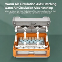 Incubateur et éclosoir automatique haute performance pour usage domestique, machine à couver les poussins, offre spéciale