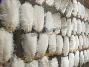 แจกันดอกไม้ขนาดใหญ่ 60 ซม. สำหรับงานฝีมือ งานปาร์ตี้ งานแต่งงาน สีชมพู ตกแต่งบ้าน ขนนกกระจอกเทศสีดำขาว ขาย - Product Image 4