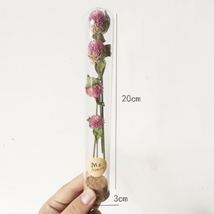 Tubes à essai transparents avec fleurs séchées et <span class=keywords><strong>bouchon</strong></span> en liège, <span class=keywords><strong>vase</strong></span> en verre - Product Image 4