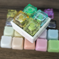 Multi-color Glossy Transparent Bear Shape 1u Blank Keycap PBT/PC Material for Stress Relief Switch Tester/Mechanical Keyboard