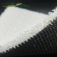 Tapis d'herbe de ski synthétique anti-dérapant pour le ski sec en plein air 20mm de hauteur de pile terrains d'entraînement en plastique ignifuge