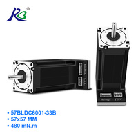 Moteur servo DC sans balais RB 57 mm, moteur DC sans balais pour drone, moteur sans balais haute puissance 150 Watts, moteur DC sans balais 3000 tr/min