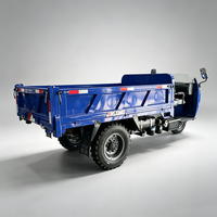 Tricycle cargo diesel à benne ouverte, moto à 3 roues motorisée pour capacité de chargement