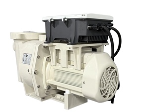 2026 Pentair Style Solar Water Pump Hybrid AC/DC Energy-Saving Swimming Pool Pump - Product Image 4