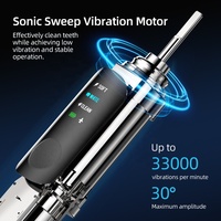 Anpassbare Farbe Tragbare Kleine Ultraschall-Vibrations-Reise Aufladbare Automatische Tiefenreinigende Schall-Elektrische Zahnbürste