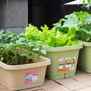 Dikdörtgen sebze ot Pot dikim kutusu plastik balkon kapalı açık saksı