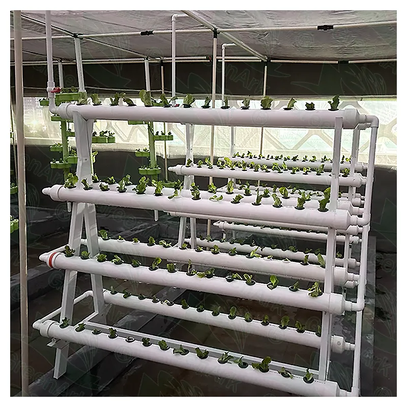 Sebze yetiştirmek, salatalık ve domates Vanzvenlo-tarımsal NFT rafları çerçeve fabrikası