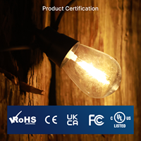 Ampoules LED S14 2200K 1W 2W en plastique incassable, résistantes aux intempéries, avec culot E26, style Edison vintage, pour éclairage extérieur